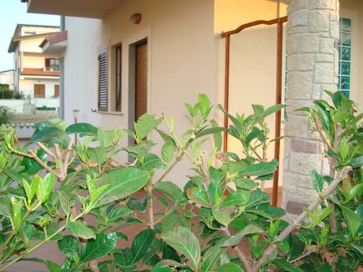 Guest House Mare E Luna Fiumefreddo Bruzio Ngoại thất bức ảnh